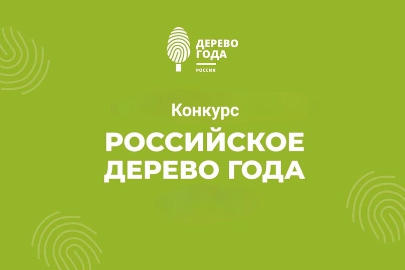 «Российское дерево года 2024».