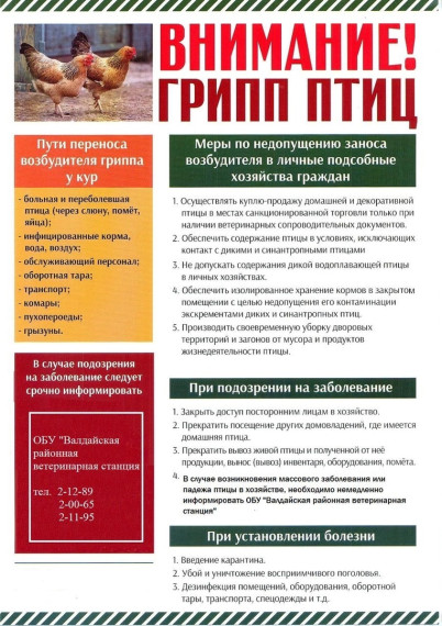 Птичий грипп. Птичий грипп.