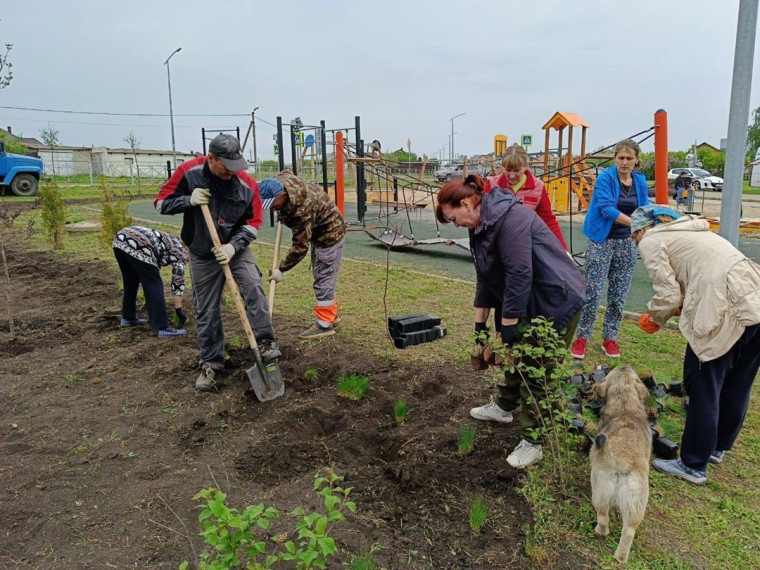 Традиция субботников продолжается. Традиция субботников продолжается.