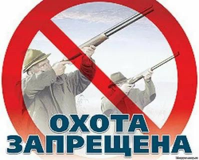 Осуществление спортивной и любительской охоты на территории Белгородской области запрещено. Осуществление спортивной и любительской охоты на территории Белгородской области запрещено.